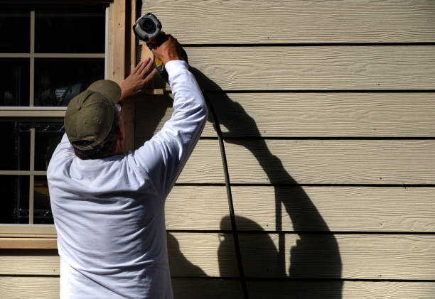 Best Custom Siding Design  in Lorado City, CO
