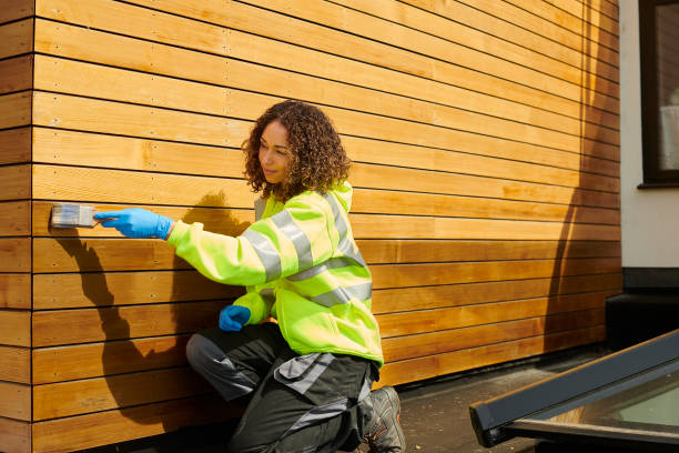 Best Insulated Siding Installation  in Lorado City, CO